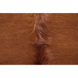 Load image into Gallery viewer, TAMMY