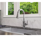 Load image into Gallery viewer, Port Haven | 2-Handle Kitchen Faucet